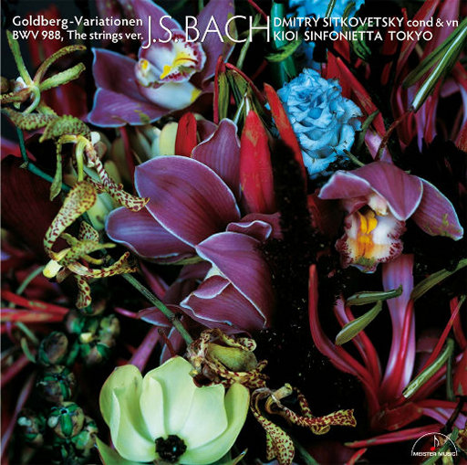 日韩在线中文字幕
